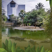 Dubai Crocodile Park