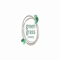 Green Grass Nursery