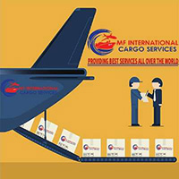 MF International Cargo Services