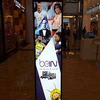 Bein