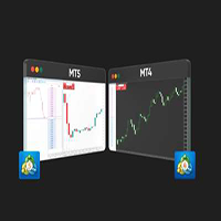 Equiti Securities Currencies Brokers