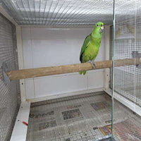 Nad Al Shiba Birds Breeding Centre