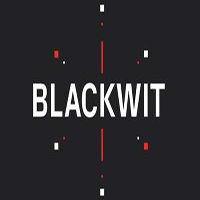 BlackWit Cyber Solutions