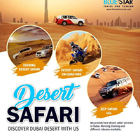 Blue Star Travel And Tourism